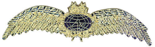 Pilots Wings Brooch